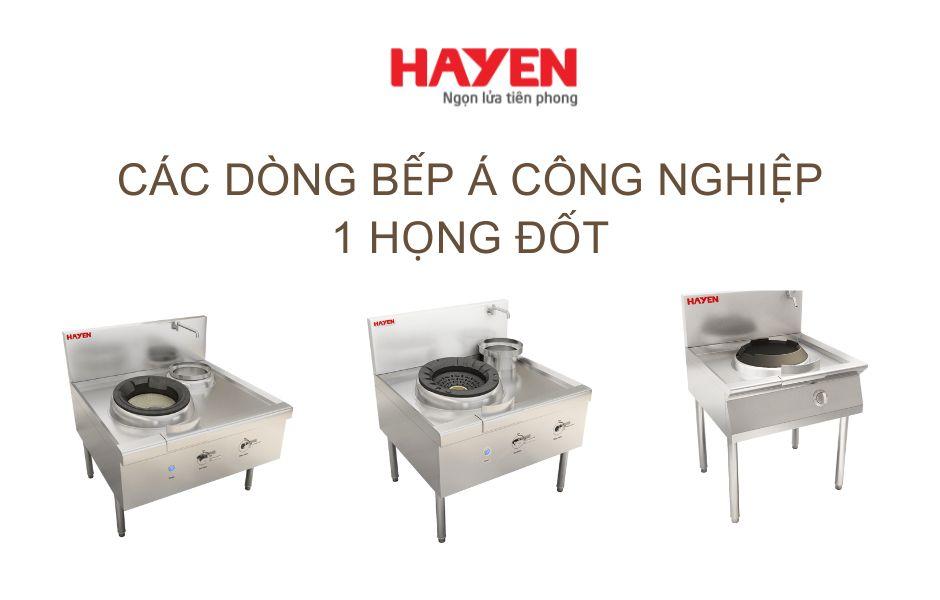 Các dòng bếp Á 1 họng đốt