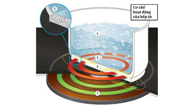 Bếp từ hoạt động dựa trên nguyên lý cảm ứng điện từ - gia nhiệt trực tiếp vào đáy dụng cụ nấu 