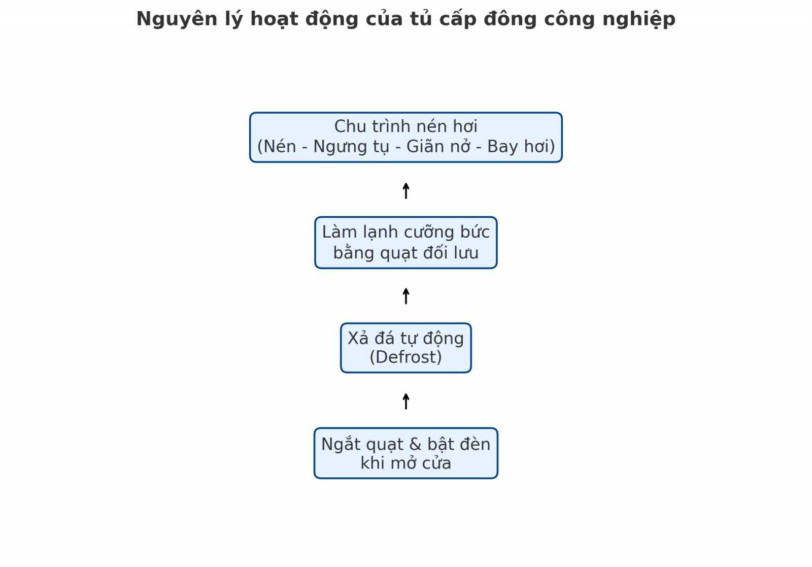 Hình ảnh mô tả nguyên lý hoạt động của tủ cấp đông công nghiệp
